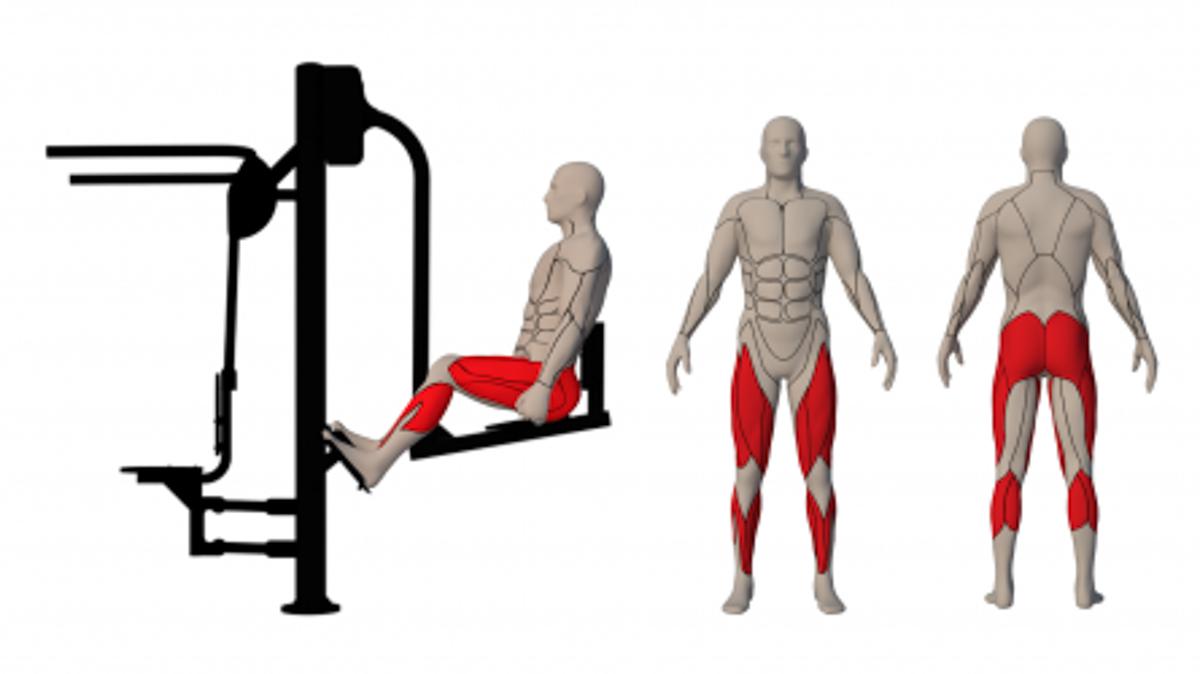 Upper lift/Leg press